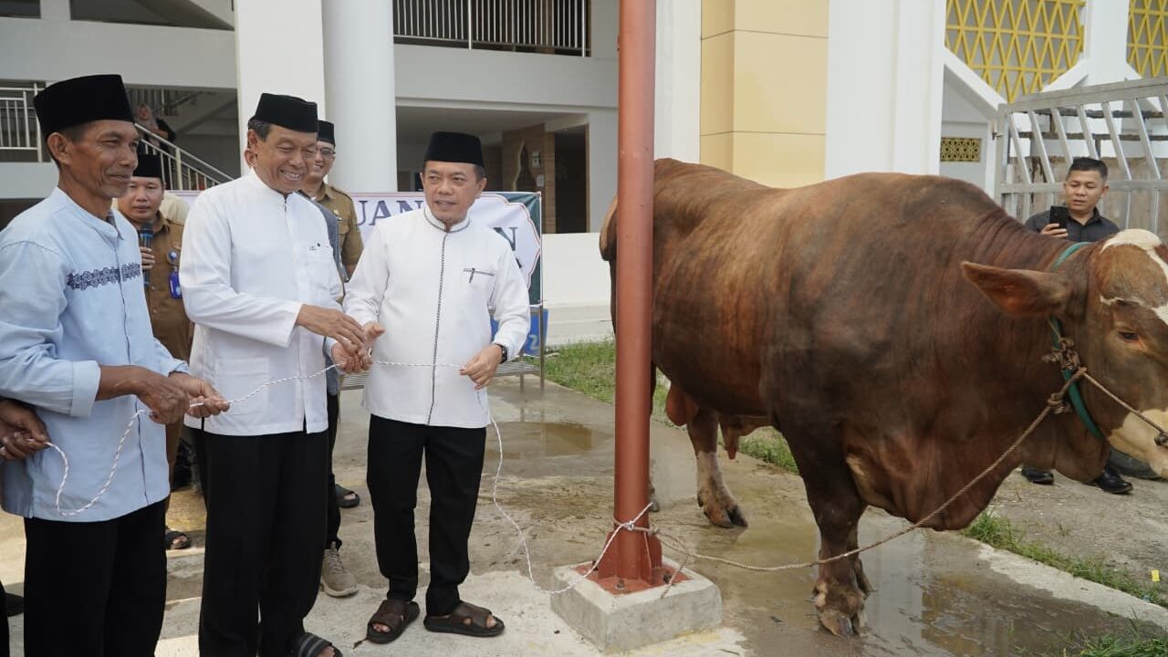 Gubernur Al Haris Serahkan Sapi Kurban Presiden Prabowo Seberat 930 Kilogram di Jambi